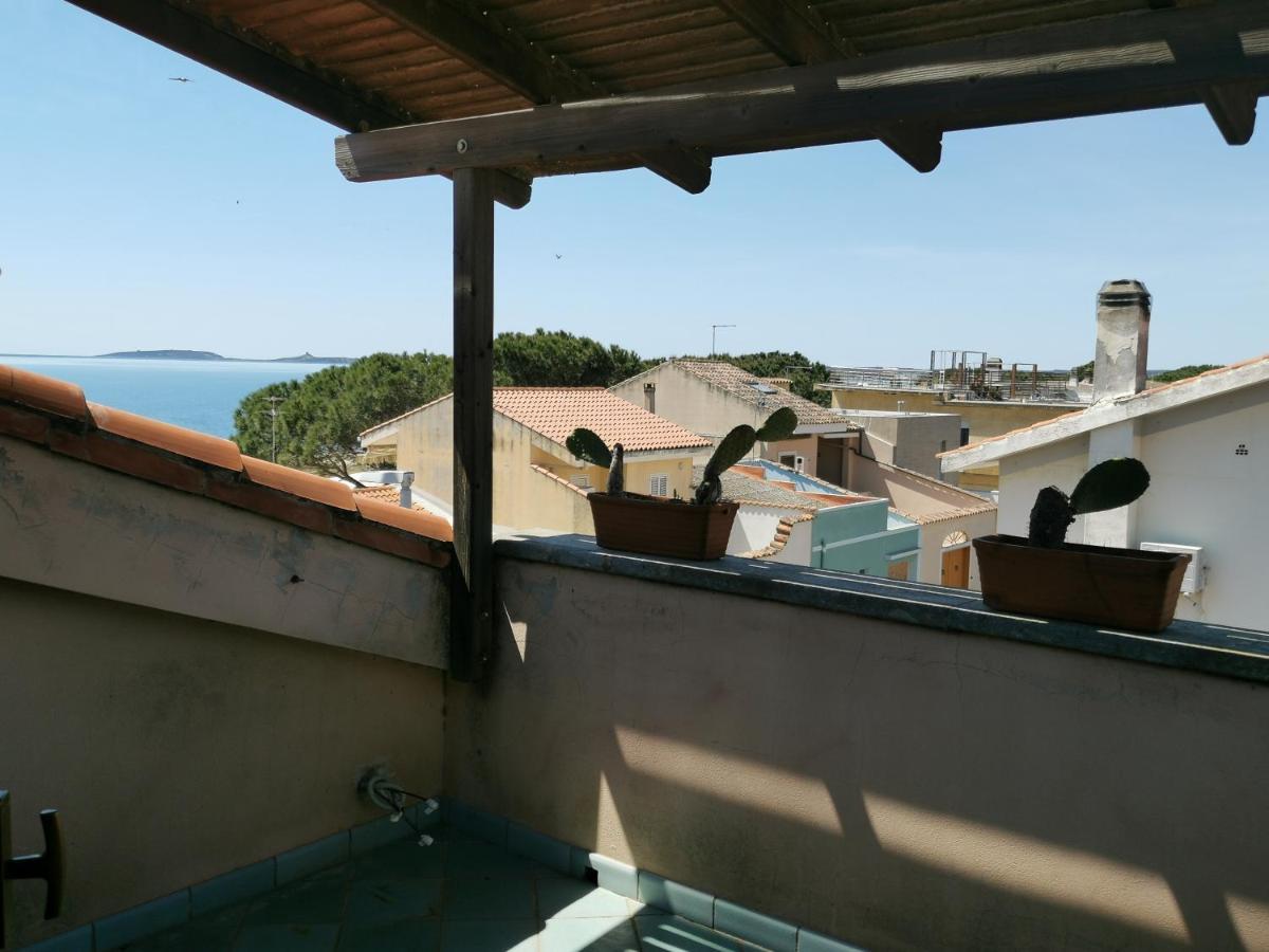 Pachisa Sul Mare